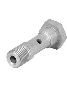 Hollow bolt VT-1/8-1 (5928)