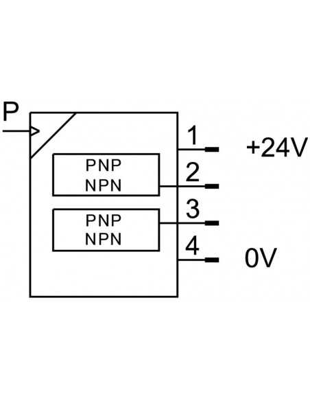 8035544 SPAN-P10R-G18M-PN-PN-L1