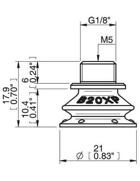 0205048 S.B20XP3060.G18MMM5F.01 Suction Cup