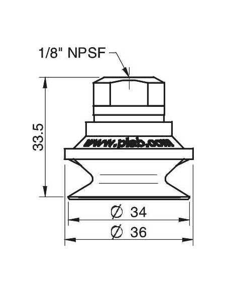 0101423 S.B30-2CR60.NS18F.01 Suction cup B30-2.10.04AG