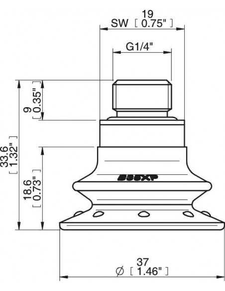 0205195 S.B35XP60.G14M.01 Suction Cup