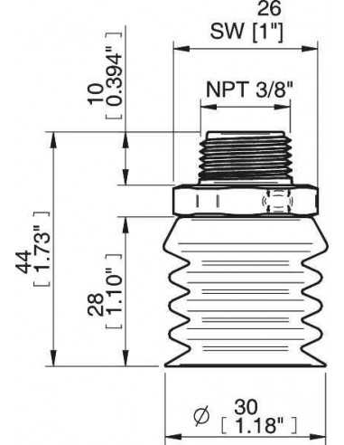 0207099 S.BBL30-2DS40.NT38MDC.00 Suction cup detectable FCM