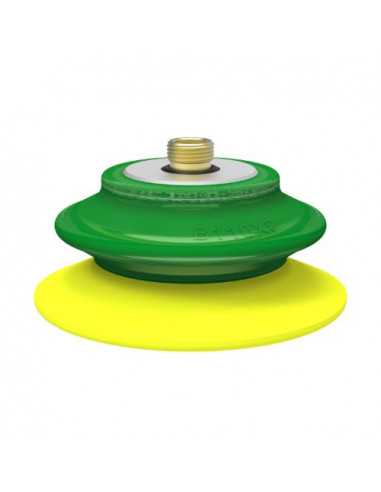 0205019 Suction cup B110XP.5K.G40W