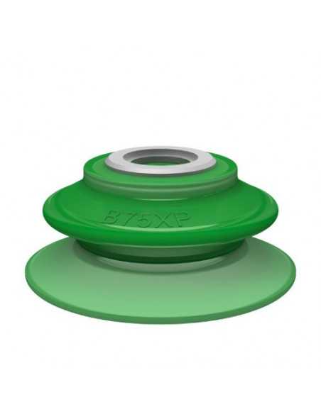 0205209 Suction cup B75XP.5E With insert